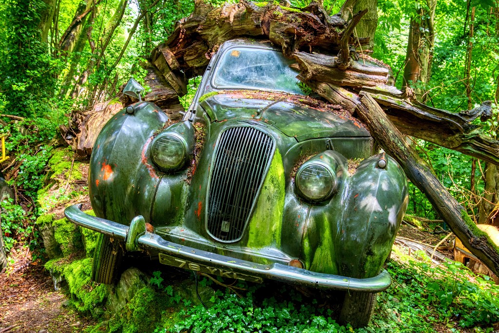 HDR Auto Skulpturen Park museum Neandertal oldtimer urbex decay abandoned derelict abandonne Michael Fröhlich froehlich Duitsland deutschland kunst art